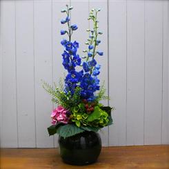 Delphinium Globe