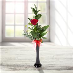  A Kiss from a Rose