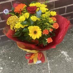 Autumnal Array