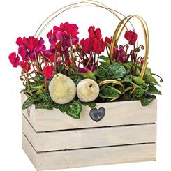 Christmas planted keepsake