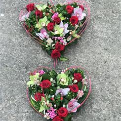 Duo of Hearts