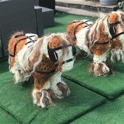 Pair or 3D cobs