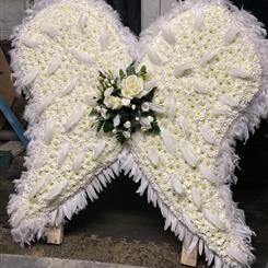 Angel wings 