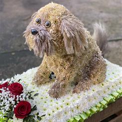 Dog Tribute