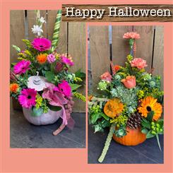 Pumpkin Arrangement
