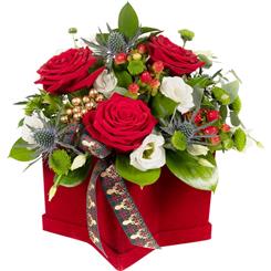 Petite Christmas Star