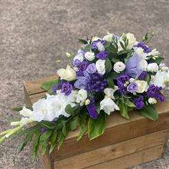 Purple and White Spray