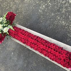 Red Rose Cross