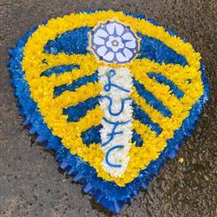 Football badge of your choice