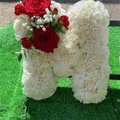 Carnation Letter