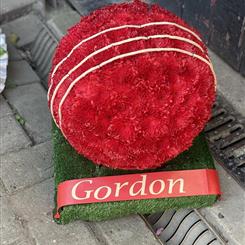 Cricket Ball Tribute