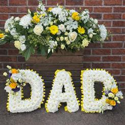 Lemon and White Dad Collection