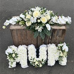 Rose and Orchid Mum Collection