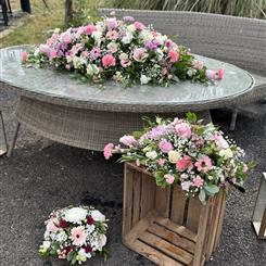 The Traditional Collection