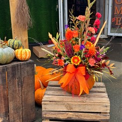 Large Luxury Pumpkin Arrangement 