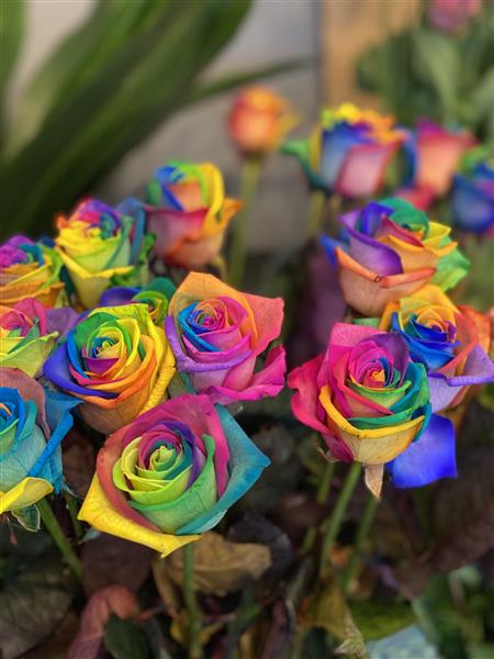 Rainbow rose bouquet